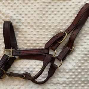 Leather Halter (Pony/Cob)